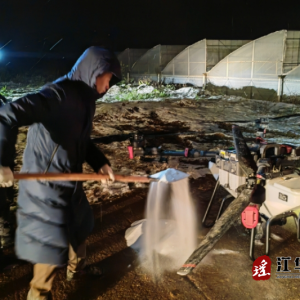 江华界牌乡：党员群众齐力除雪 全力保护大棚安全