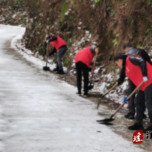 江华湘江乡：开展“铲冰除雪，党员先行”主题党日活动