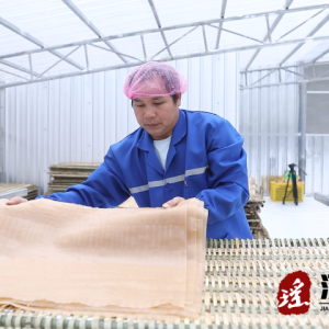 江华：做好“红薯”特色经济 助力产业振兴结硕果