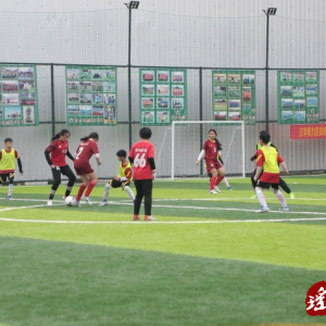 第二届“湘桂民族团结杯”瑶族少年足球邀请赛圆满落幕