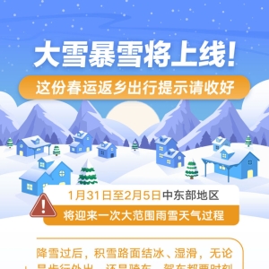新华全媒+｜大雪暴雪将上线！这份春运返乡出行提示请收好