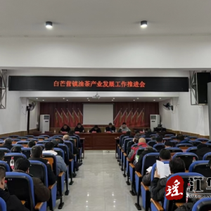 江华白芒营镇召开油茶产业发展工作推进会