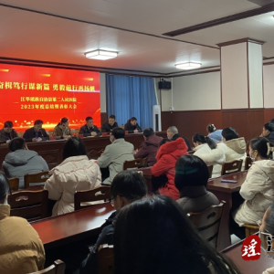 江华第二人民医院召开2023年度工作总结暨表彰大会