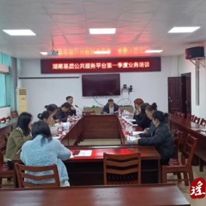 码市镇召开基层公共服务平台第一季度业务培训会
