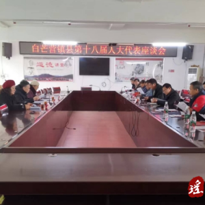 江华白芒营镇：强化学习调研 提高议案建议质量